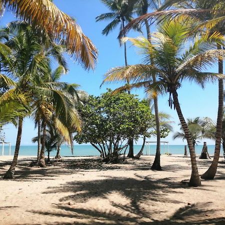 Hotel Playa Mandala Паломино Екстериор снимка