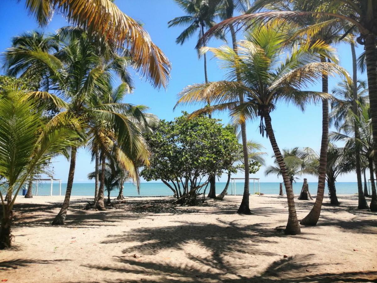 Hotel Playa Mandala Паломино Екстериор снимка